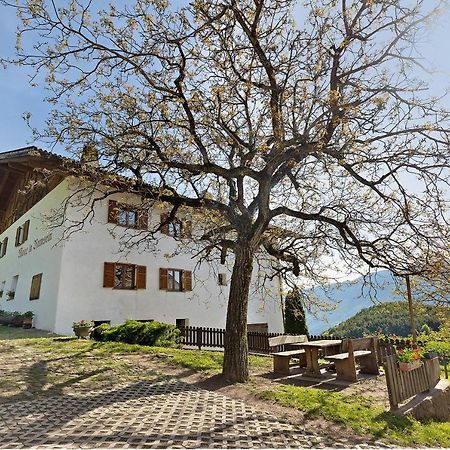 Moar im Rumsein - Apt Etschblick Jenesien Exterior foto